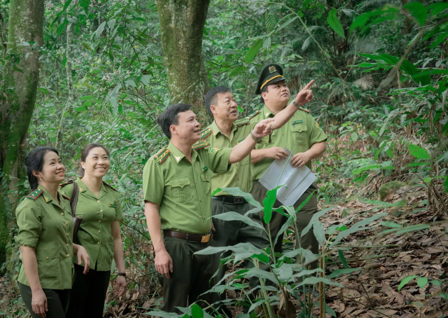 Thái Nguyên nâng cao hiệu quả quản lý, phát triển lâm nghiệp bền vững
